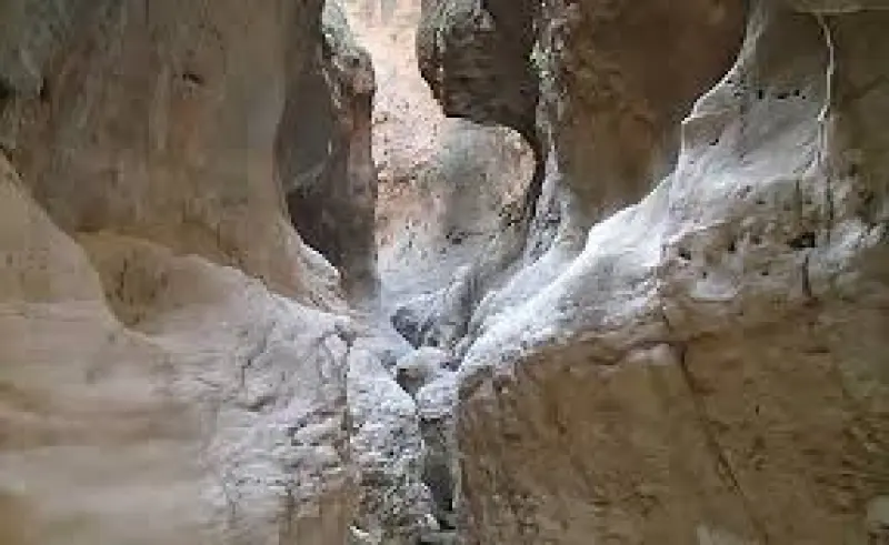 تنگ سجک - تصویر 3