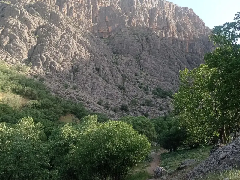 دره اسپر - تصویر 4