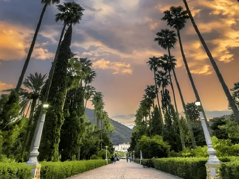 بلوار کازینو رامسر - تصویر 1