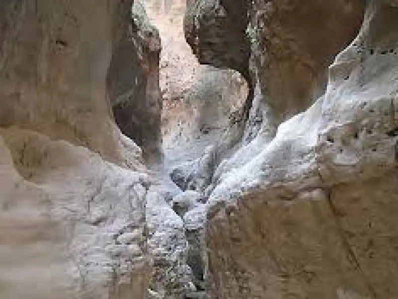 تنگ سجک - تصویر 3