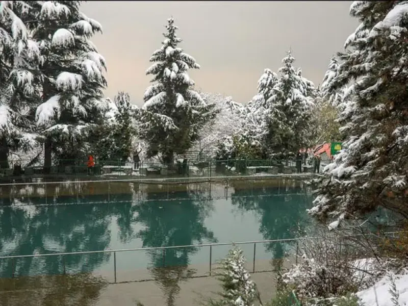 پارک جنگلی جمشیدیه - تصویر 12