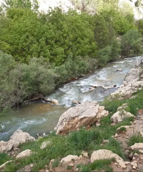 تنگه کوفی، چهارمحال وبختیاری