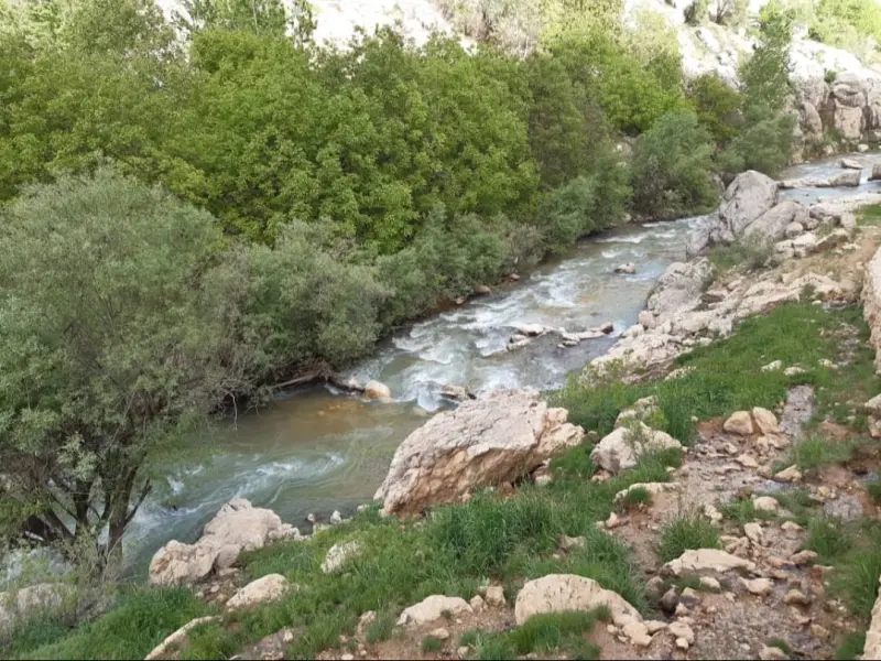 تنگه کوفی