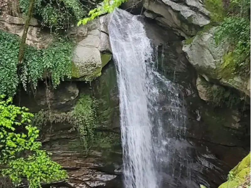 آبشار ساسنگ - تصویر 7