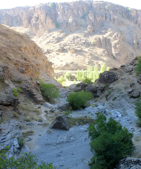 پناهگاه حیات‌وحش دره انجیر و نی‌باز، یزد