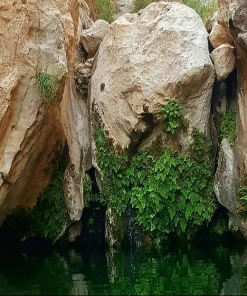 تنگ مخدان، بوشهر