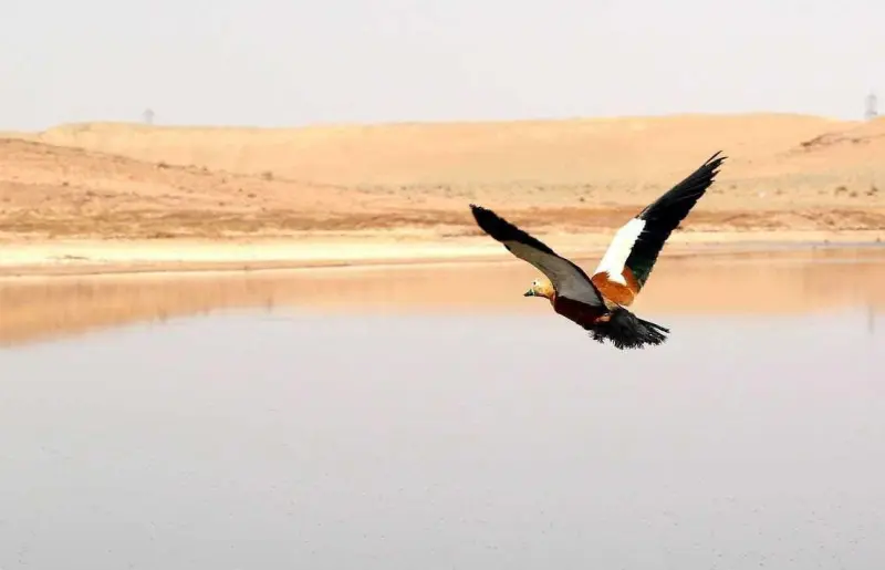 تالاب بهشت معصومه - تصویر 1