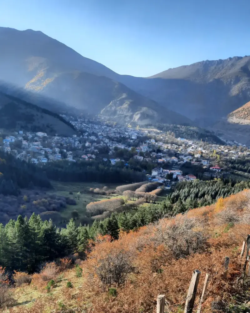 بوستان جنگلی صیقل محله - تصویر 7