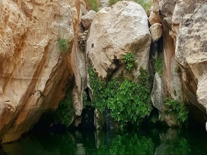تنگ مخدان