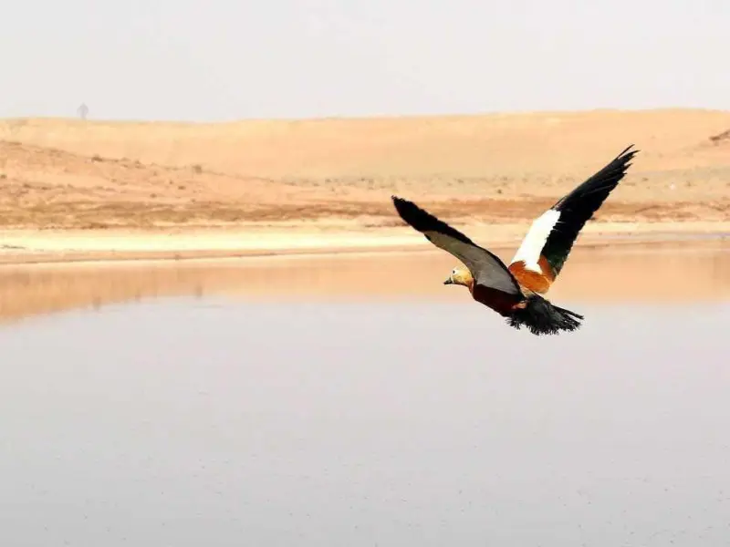 تالاب بهشت معصومه - تصویر 1