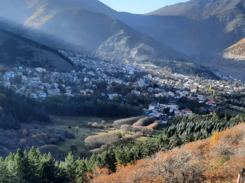 بوستان جنگلی صیقل محله - تصویر 7