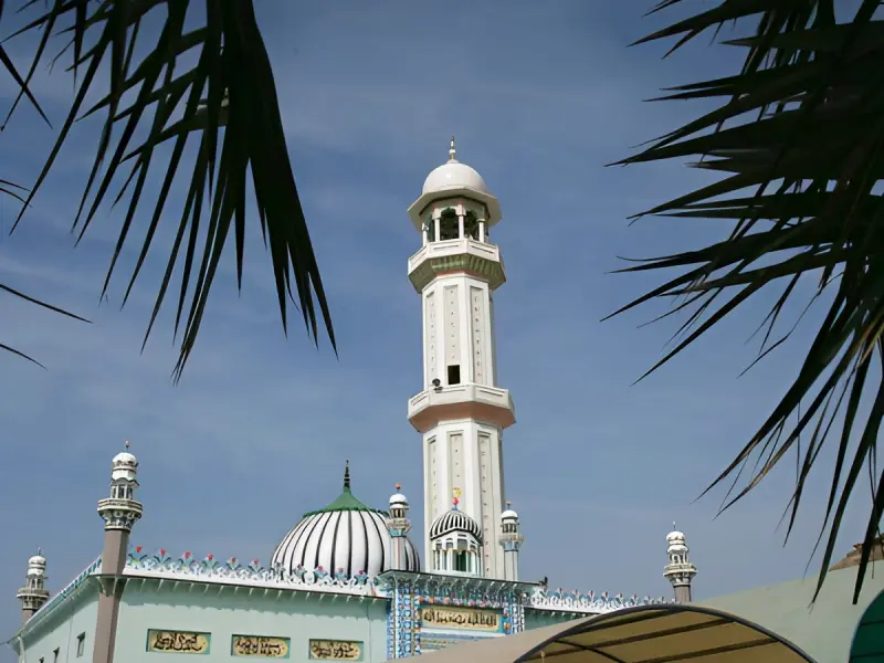 مسجد جامع تیس - تصویر 3