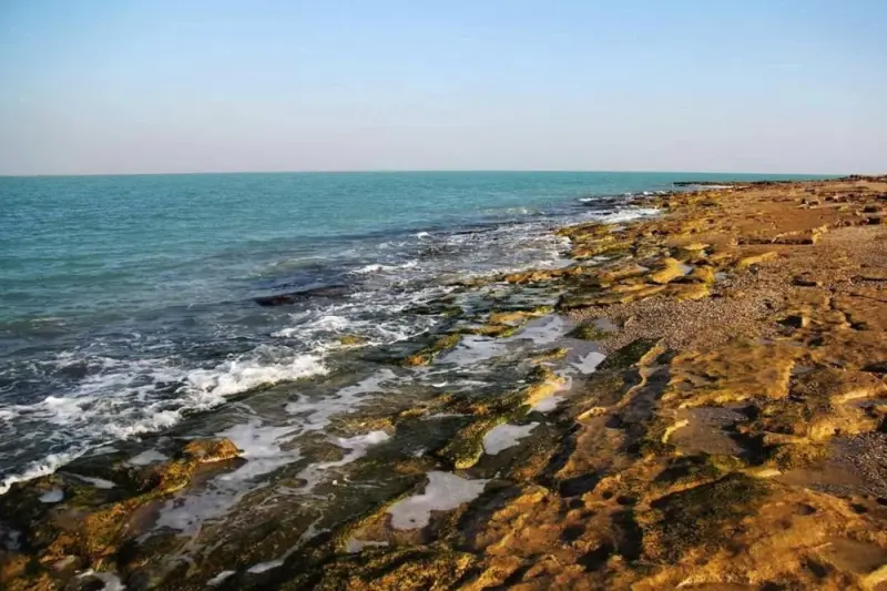 جزیره نخیلو - تصویر 1