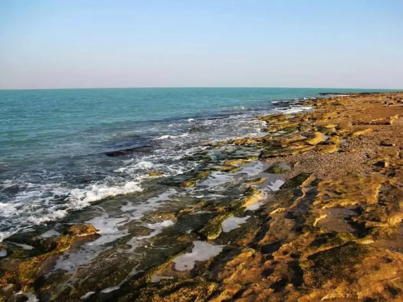 جزیره نخیلو - تصویر 1