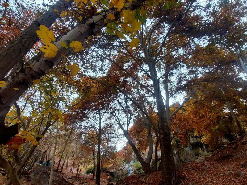 روستای کمرد - تصویر 2