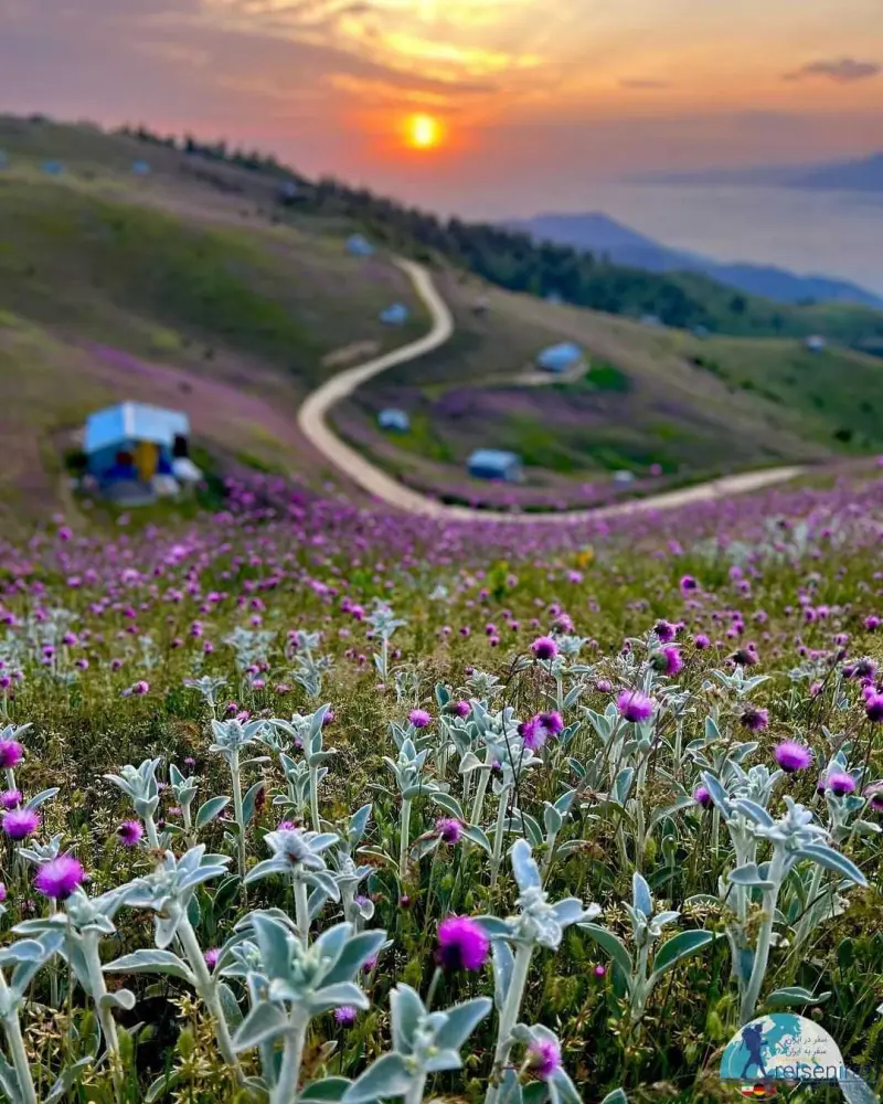 ییلاق سلانسر - تصویر 5