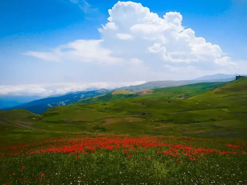 شکردشت - تصویر 11