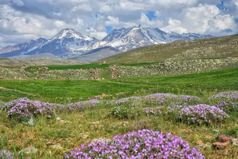 آبشار کرکری - تصویر 6