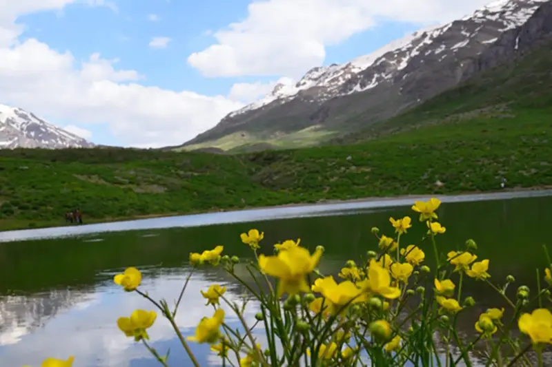 دریاچه کوه گل - تصویر 3