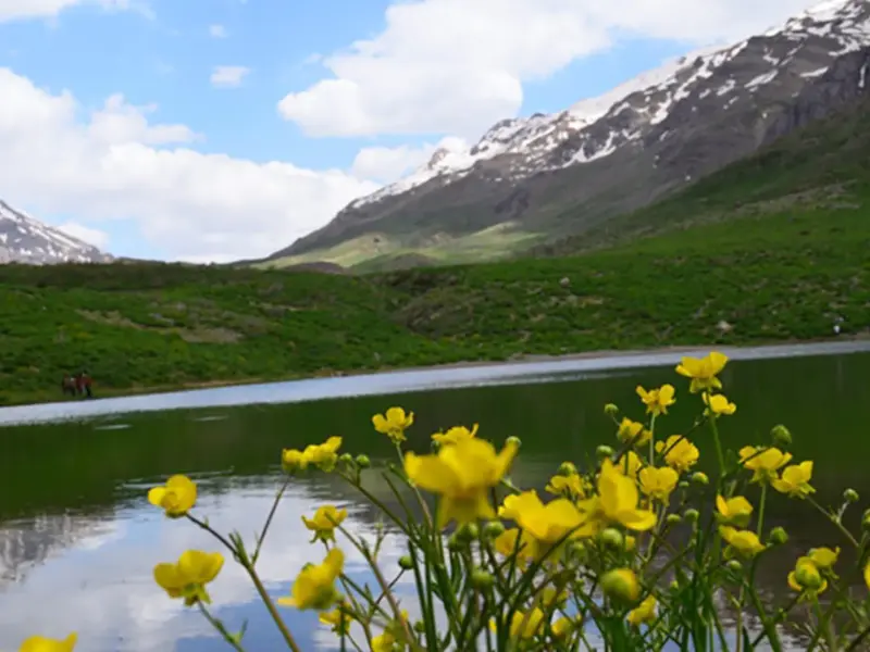 دریاچه کوه گل - تصویر 3