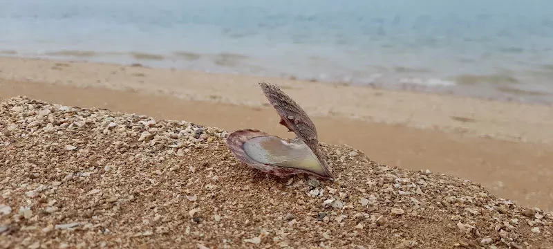 _