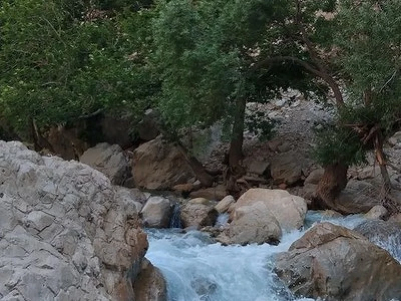 _