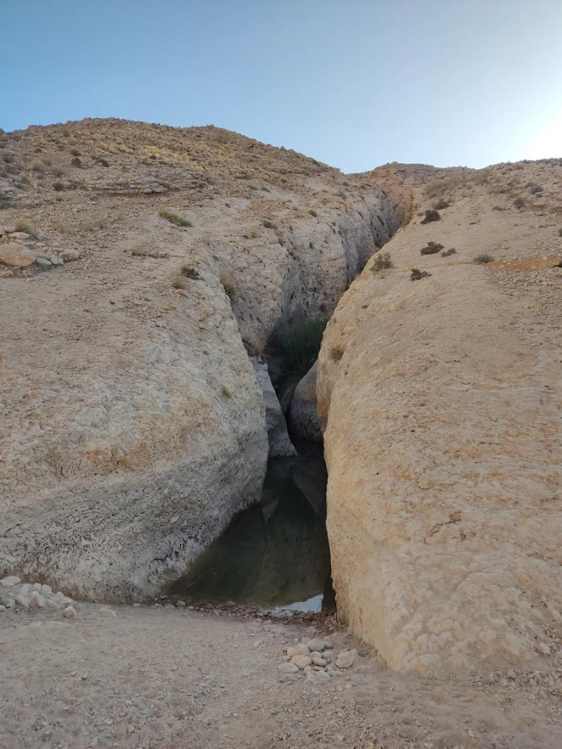 _
