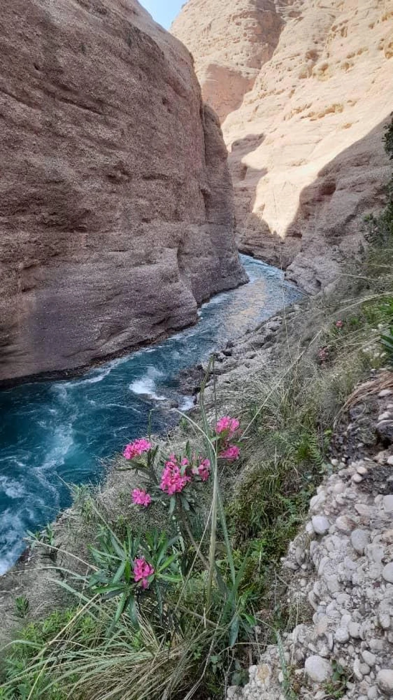 _