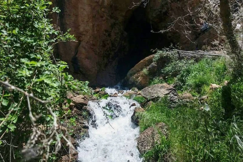 _