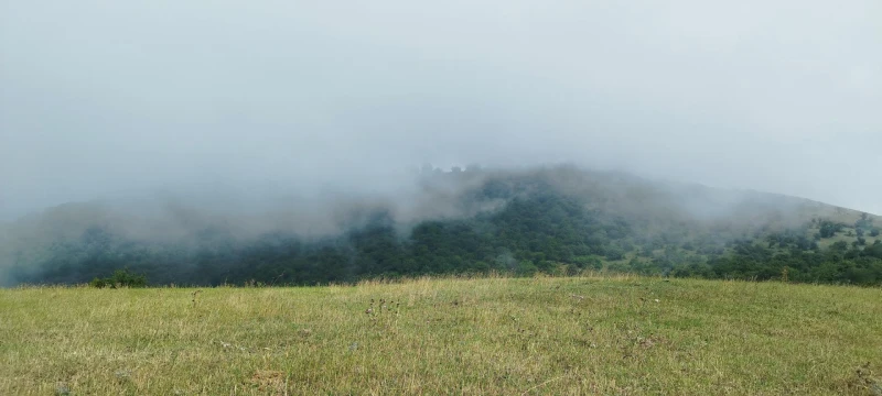 _