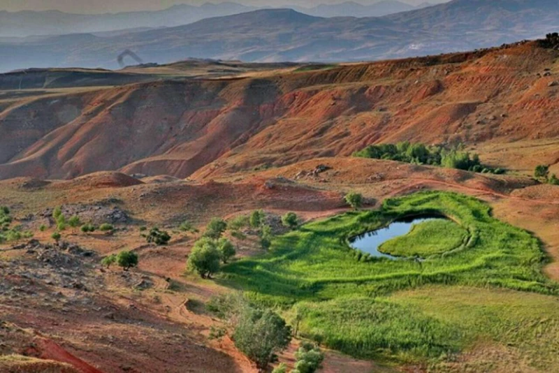 _