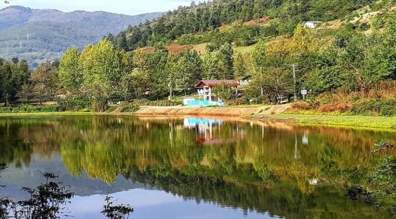_