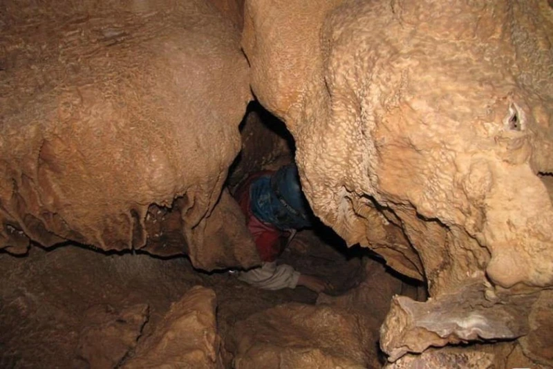 _