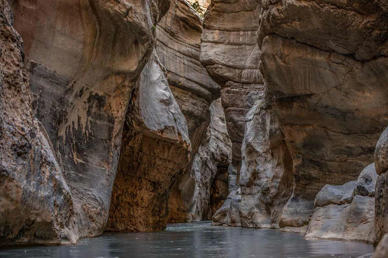 _