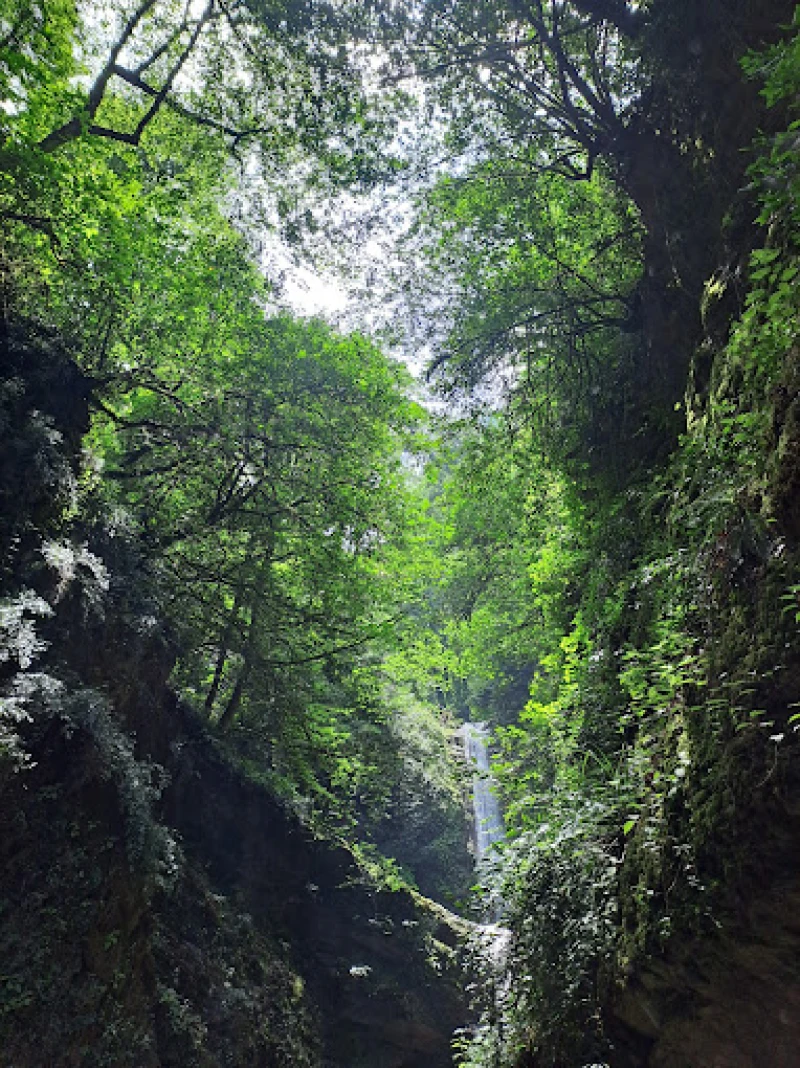 _