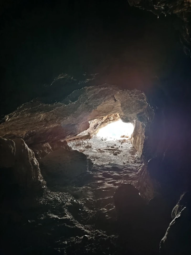 _