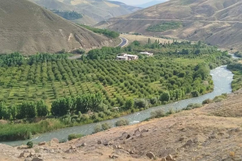 _