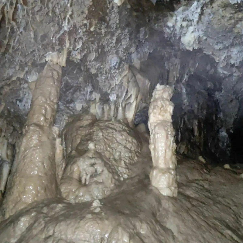_