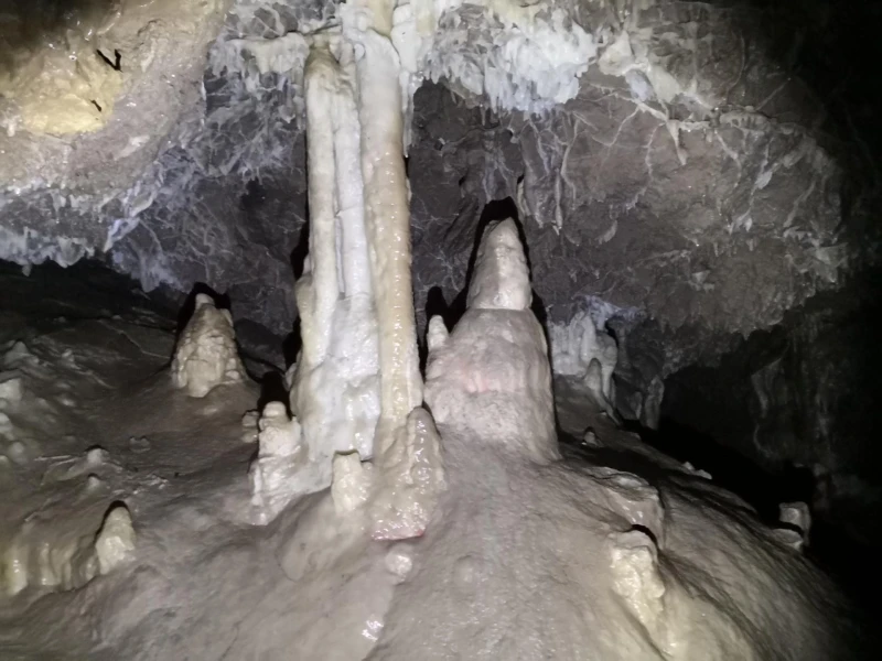 _