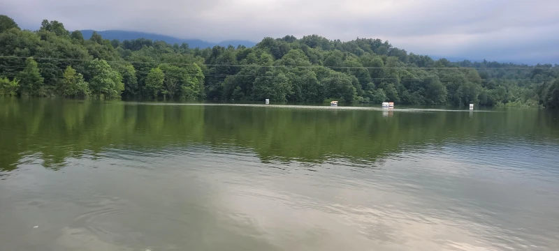 _