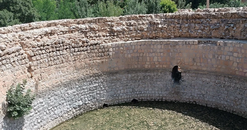_