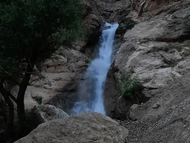 _