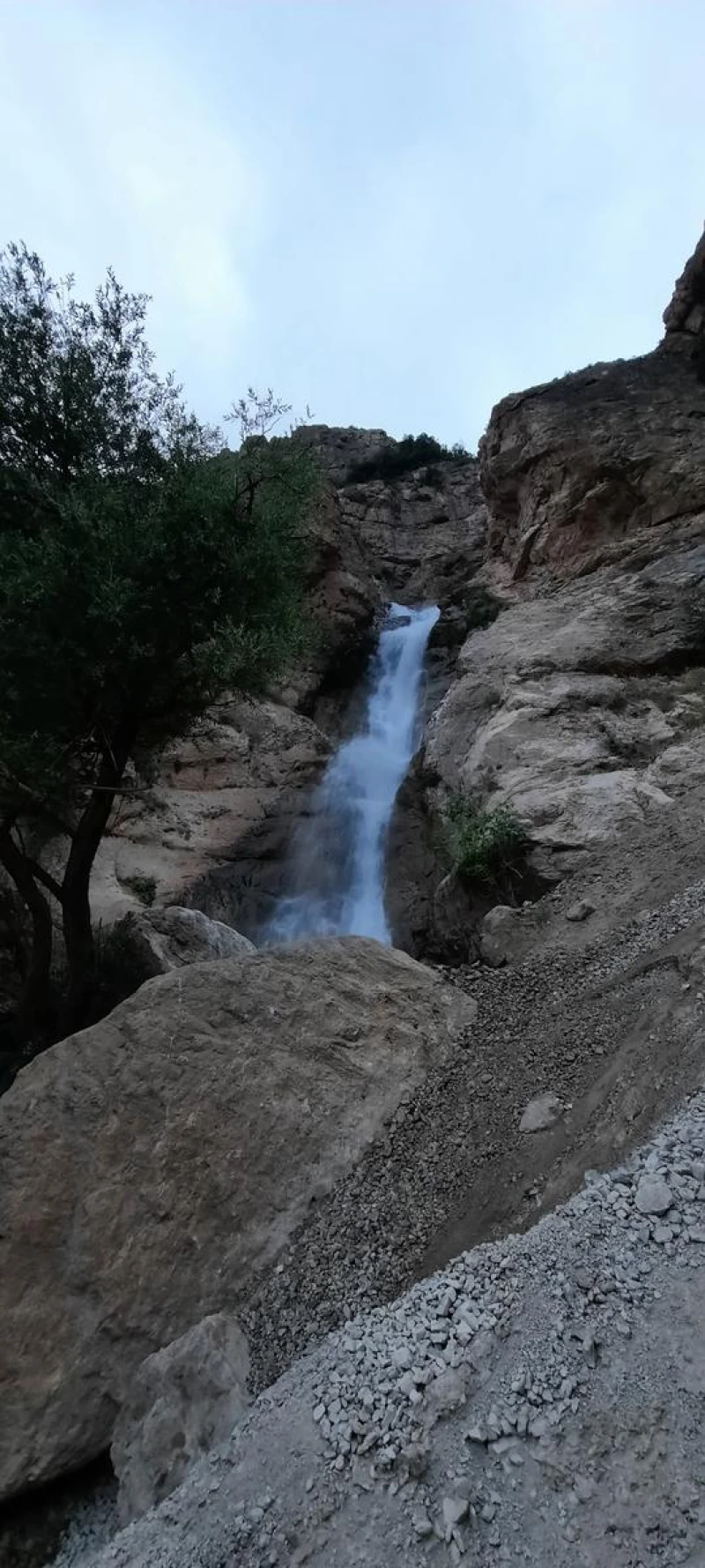_