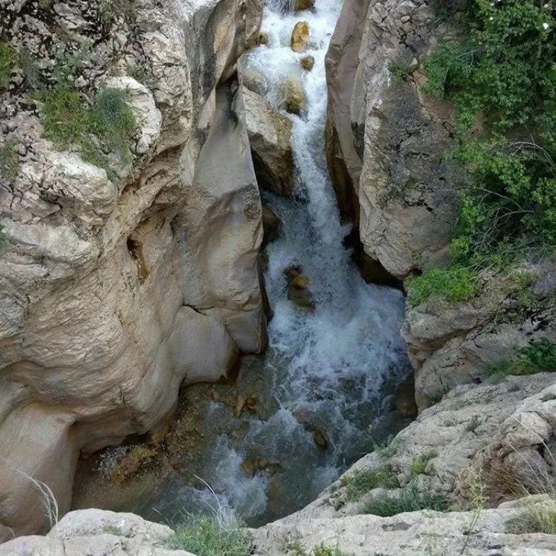 _