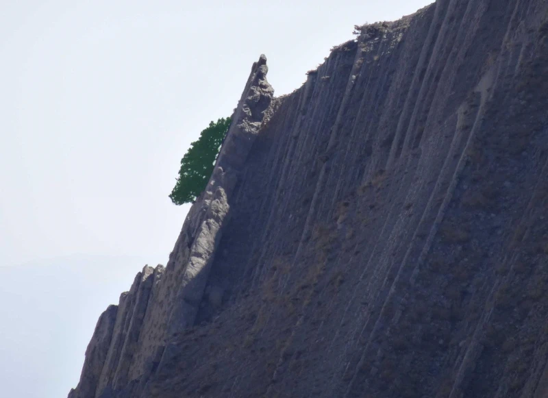 _