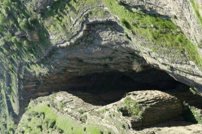 _