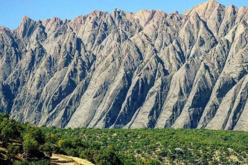 _