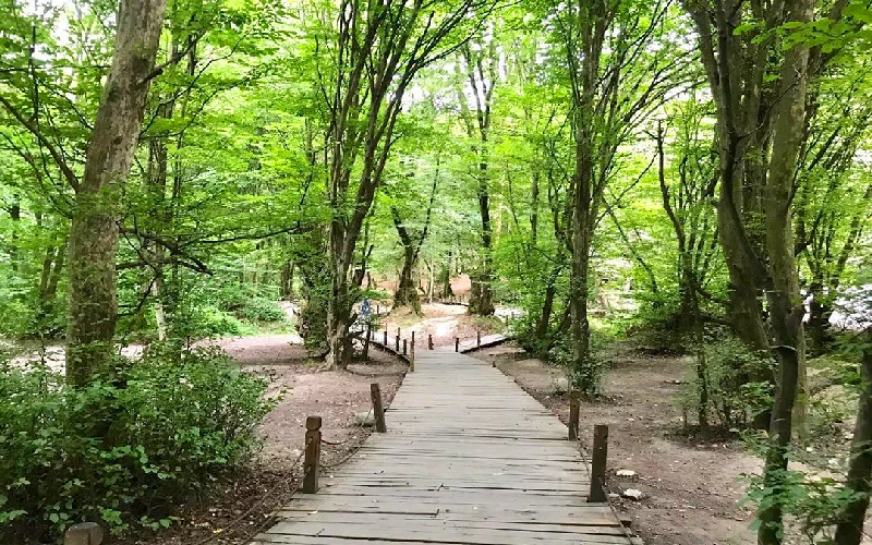 _