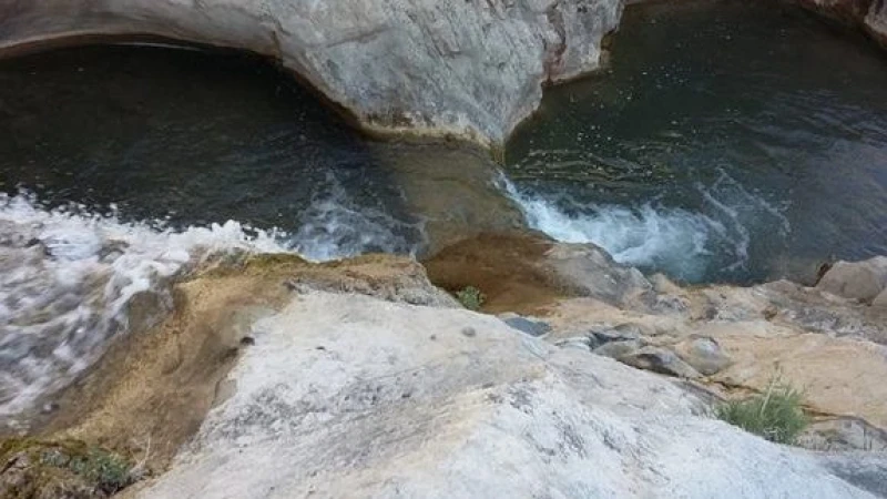 _