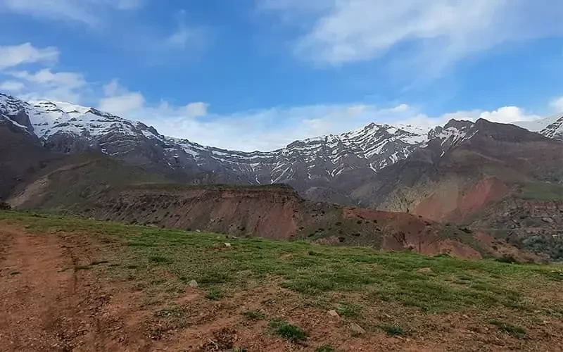 _